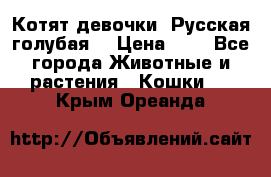 Котят девочки “Русская голубая“ › Цена ­ 0 - Все города Животные и растения » Кошки   . Крым,Ореанда